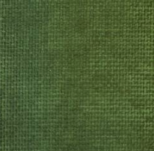 4510- Cactus Panama Plain